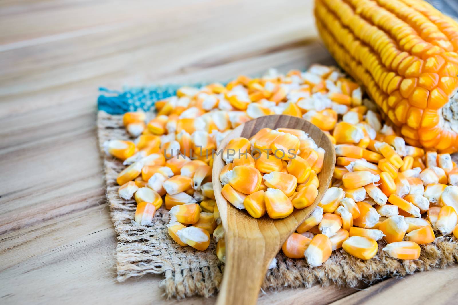 corn seed or maize corn seed pile in spoon wooden on brown sack on table wooden