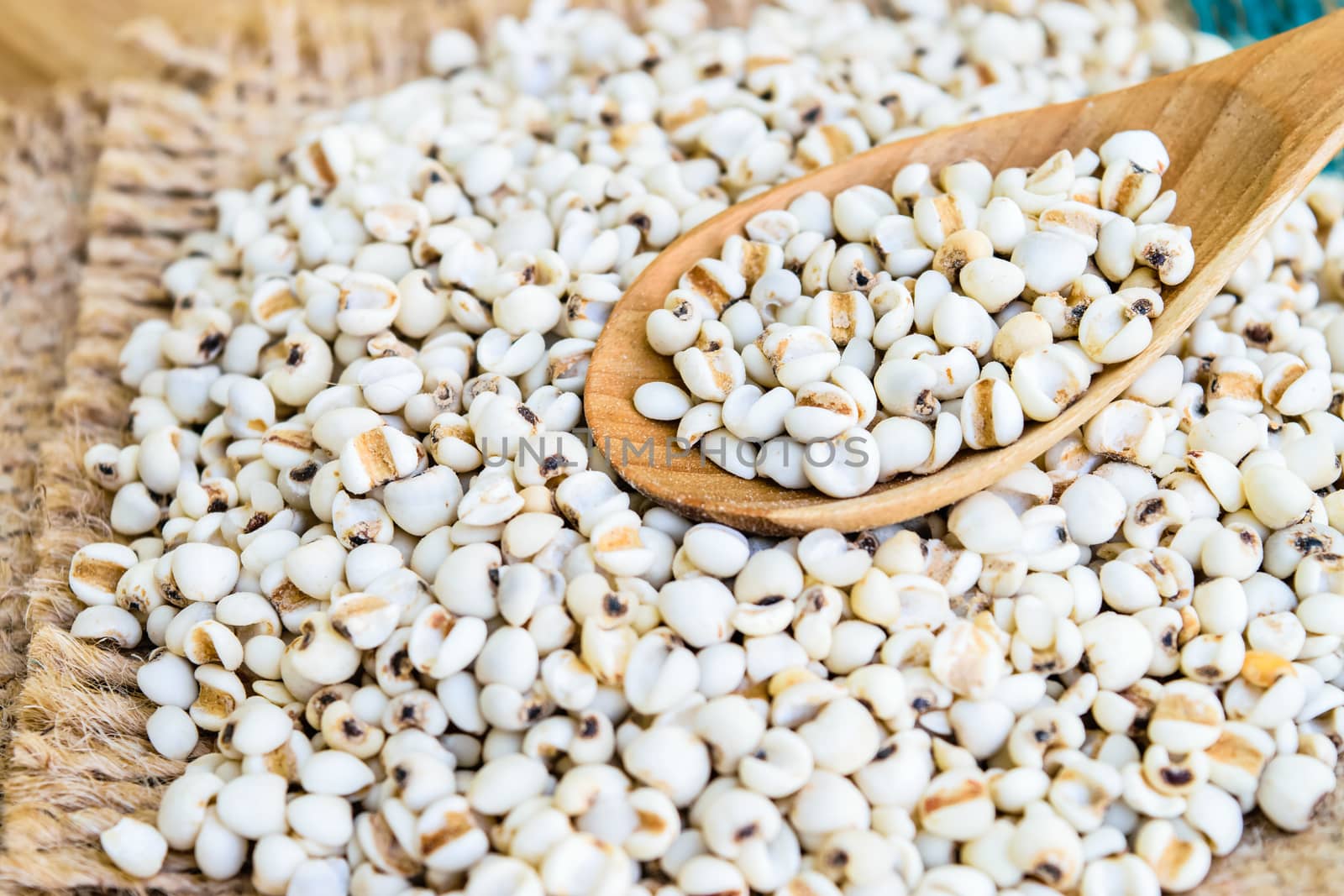 Job's tear seed dried in wooden spoon on wooden table