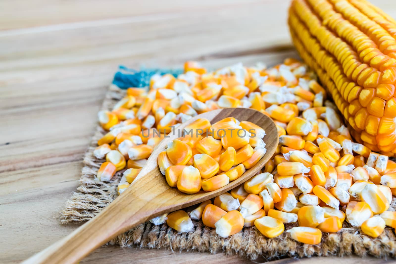 corn seed or maize corn seed pile in spoon wooden on brown sack on table wooden