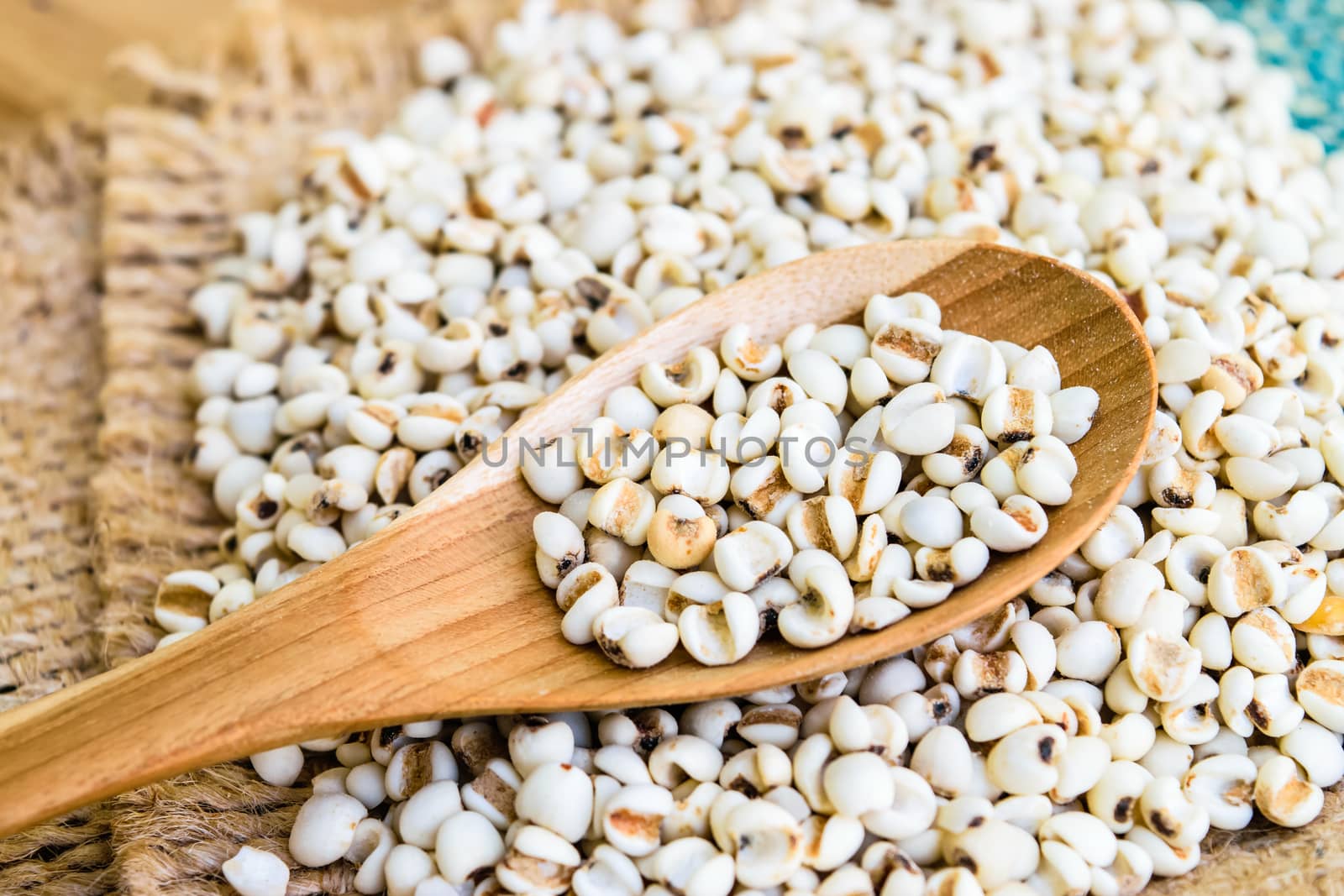 Job's tear seed dried in wooden spoon on wooden table