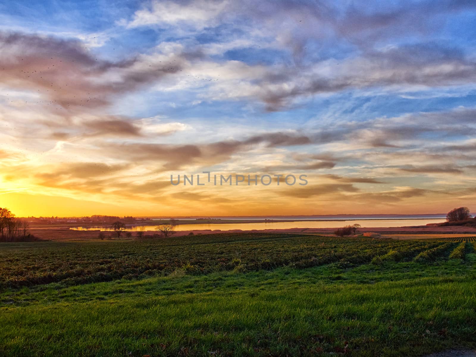 Beautiful landscape of green fields and a dramatic majestic sunset great nature background    