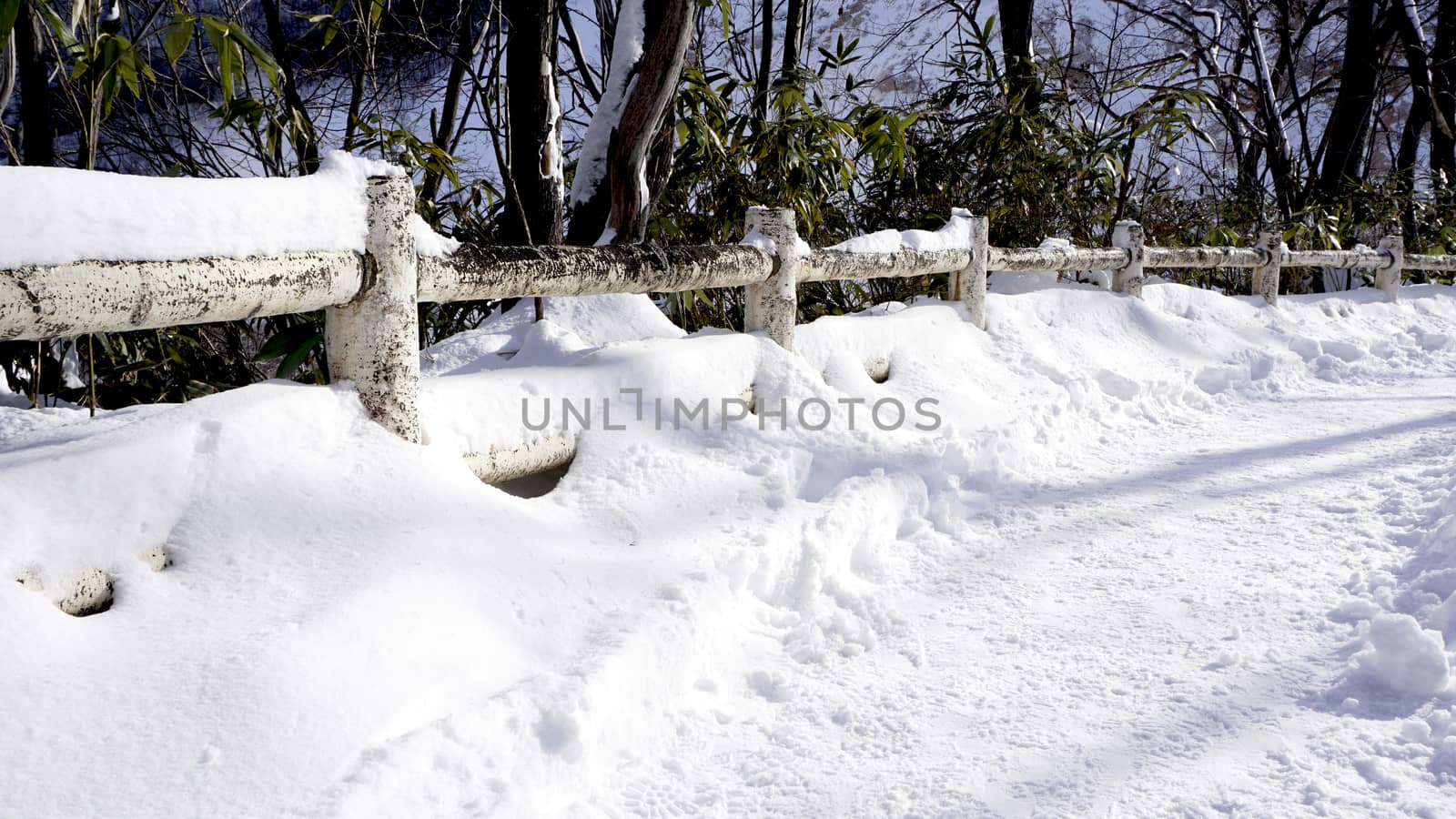 Snow walkway and railing in the forest Noboribetsu onsen  by polarbearstudio