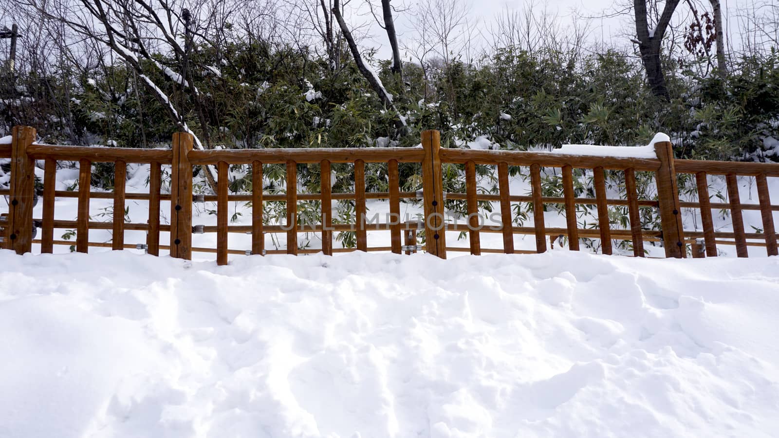 Snow walkway and wooden railing in the forest Noboribetsu onsen by polarbearstudio