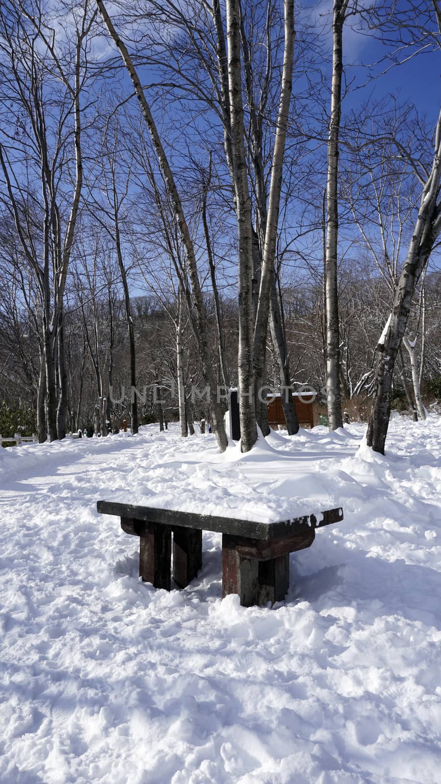 Snow and bench in the walkway forest Noboribetsu onsen by polarbearstudio
