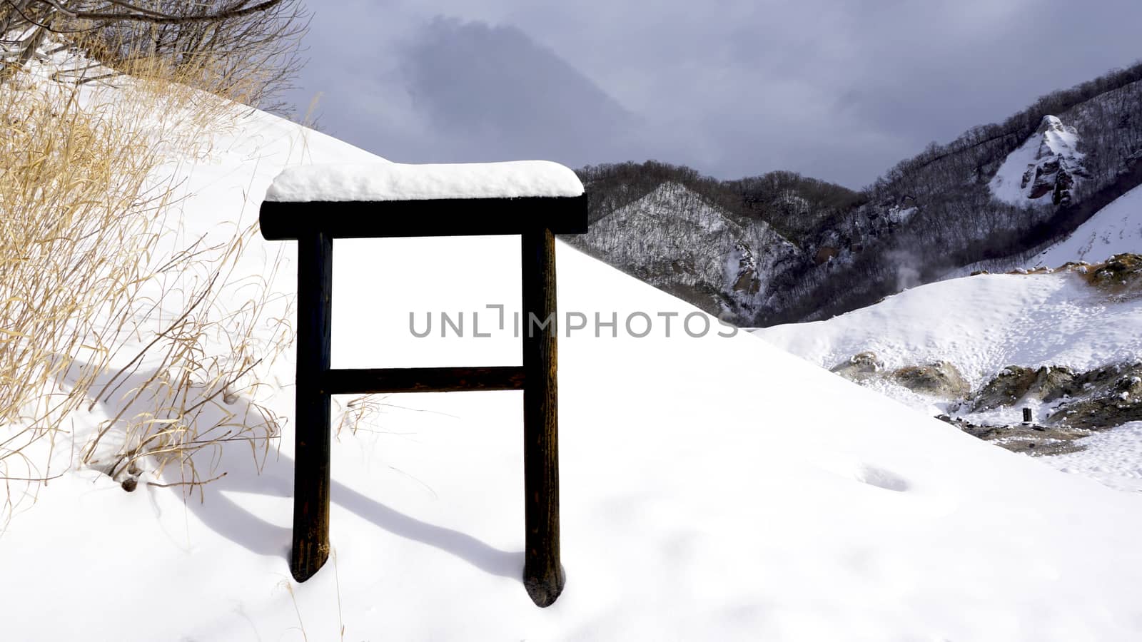 Snow and blank signage in the forest snow winte by polarbearstudio