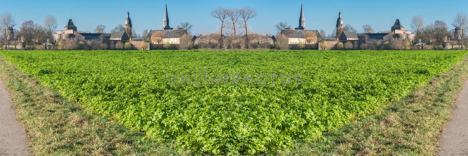 View of an Agra field in winter. Cultivated with winter vegetables.