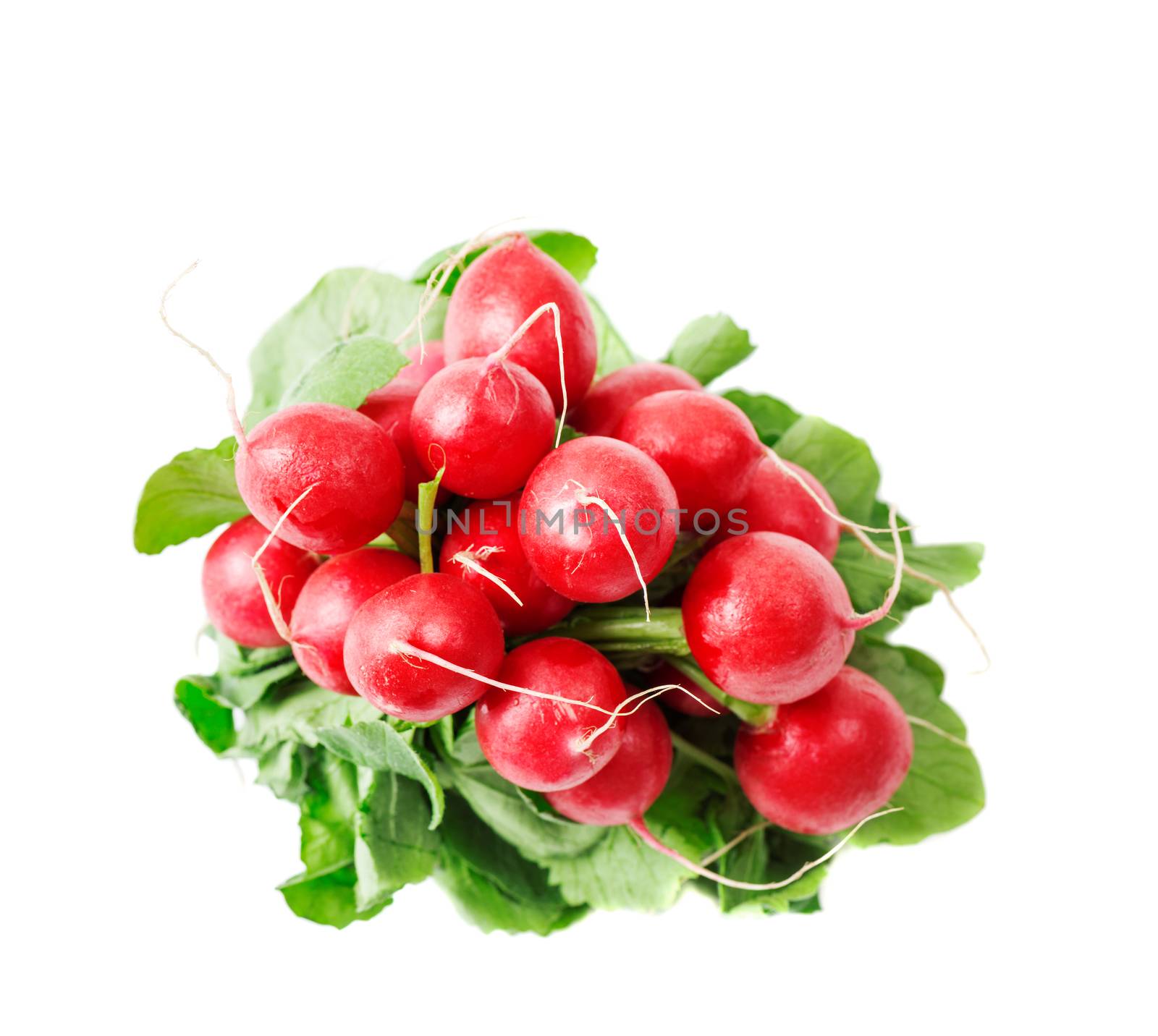 Fresh red radishes isolated on white background