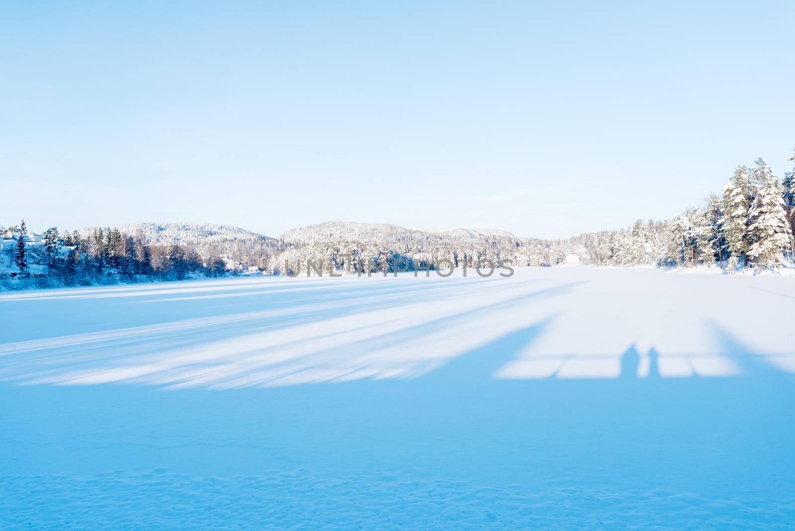 Frozen lake in winter