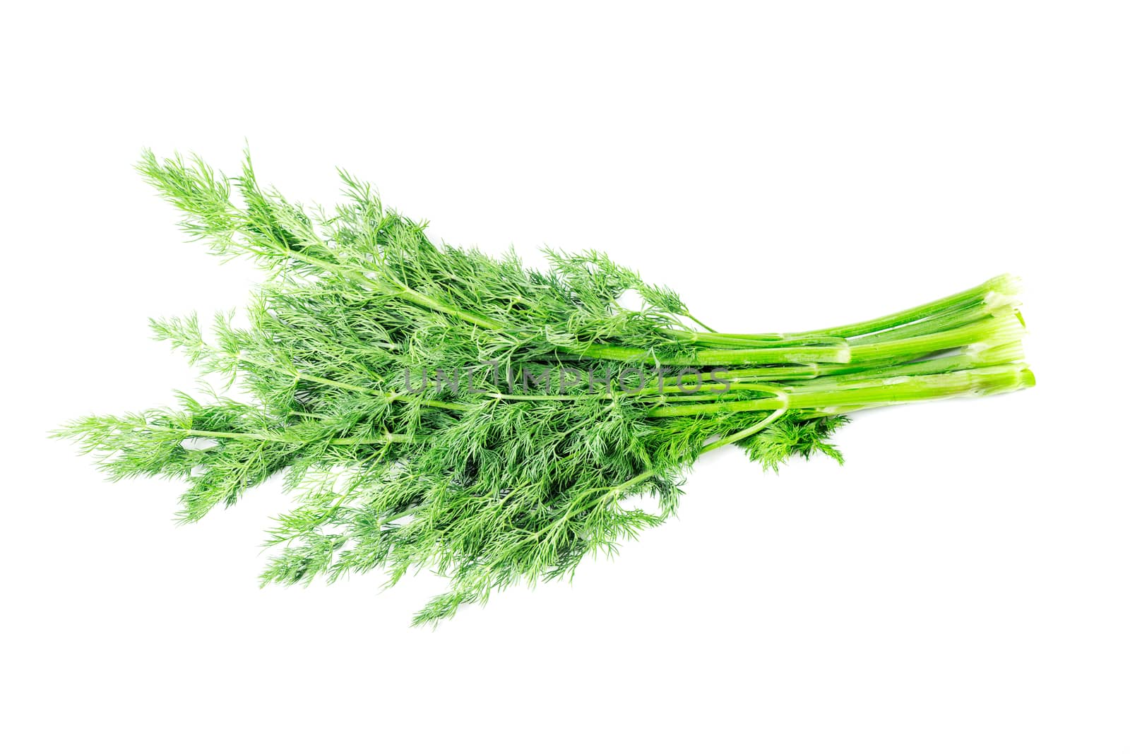 Bunch of fresh dill Isolated on white by Nanisimova
