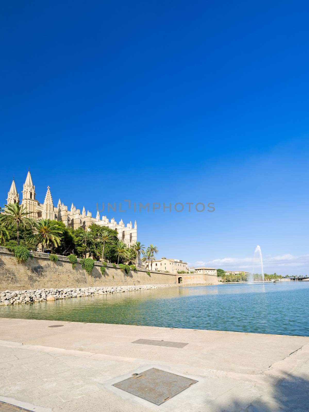 Cathedral at Palma de Majorca by Nanisimova