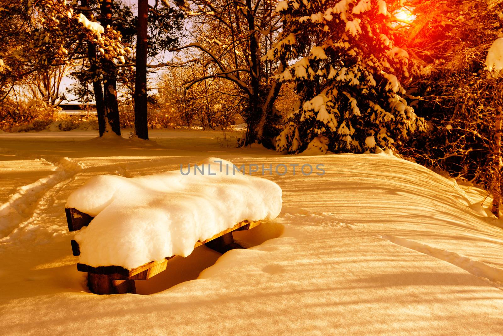 Winter in the park, bench under snow