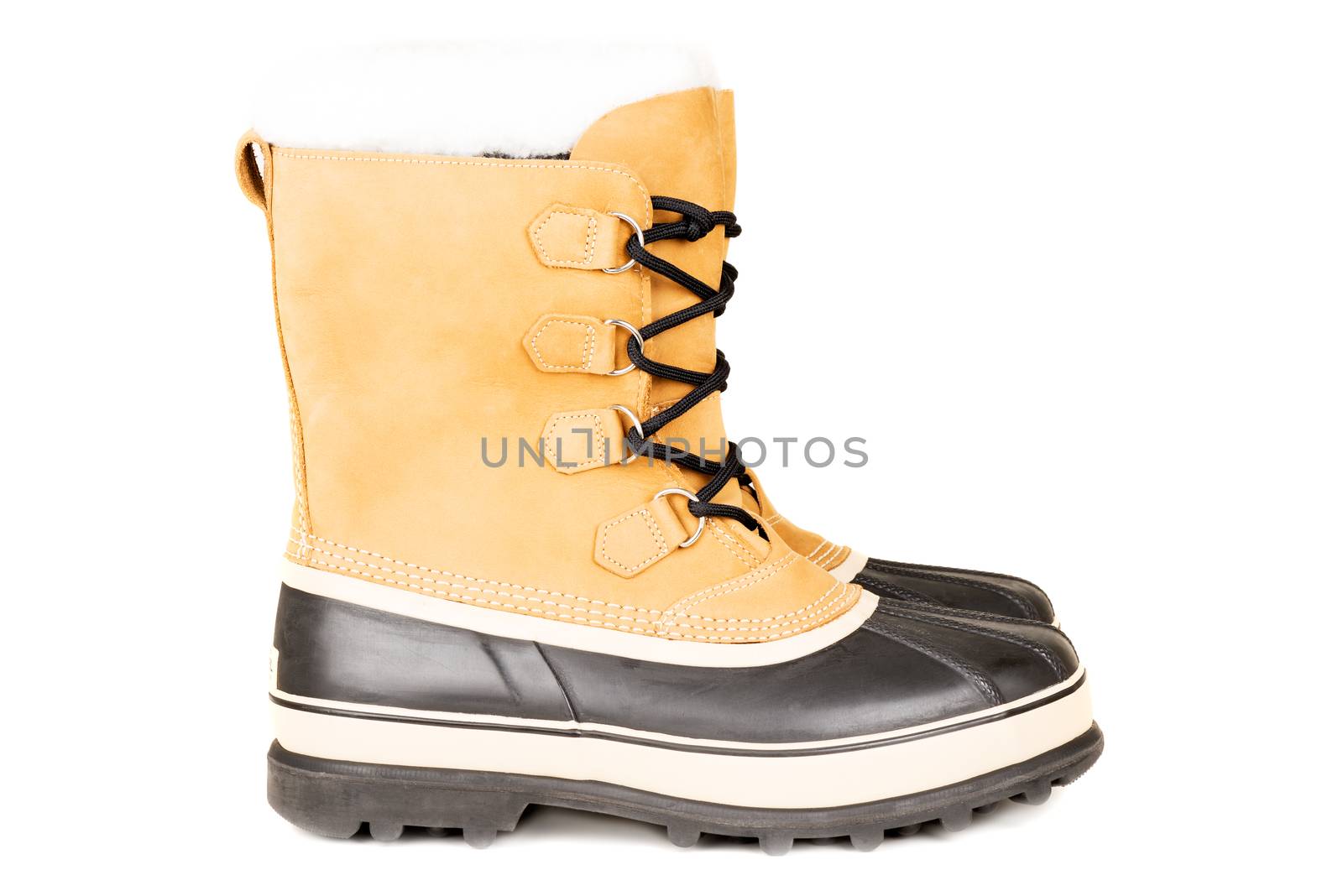 Unisex winter high boots isolated on white