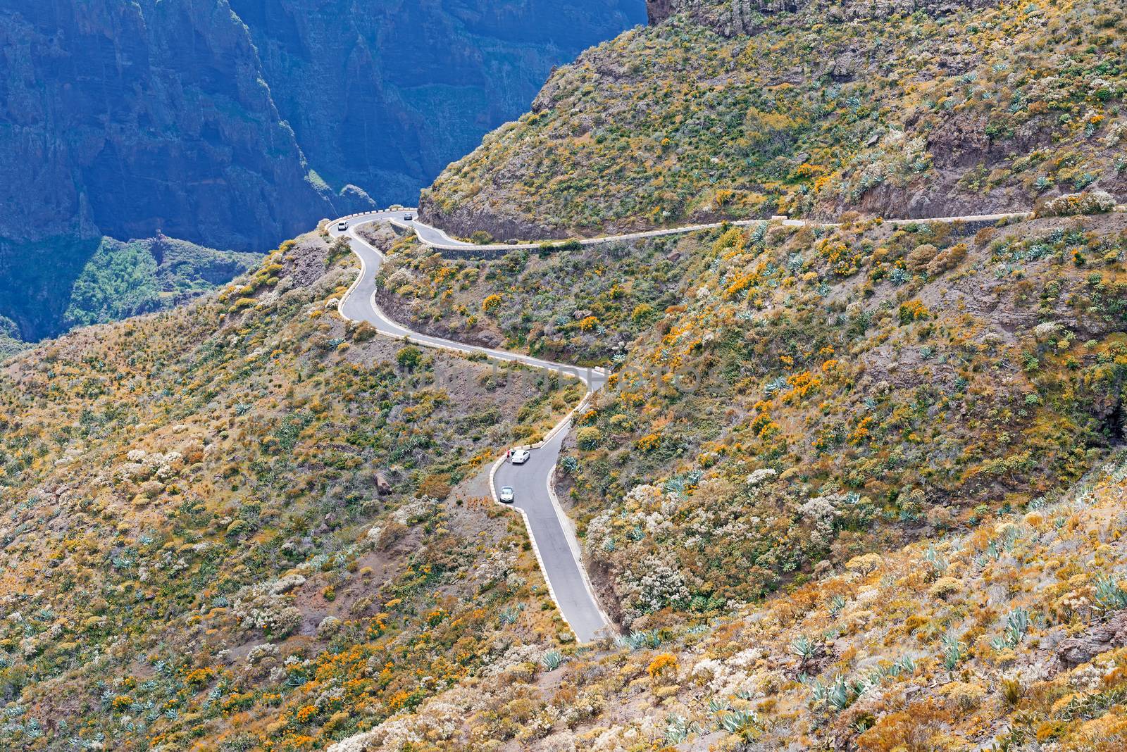 View on road near Masca village, Canary Islands, Spain