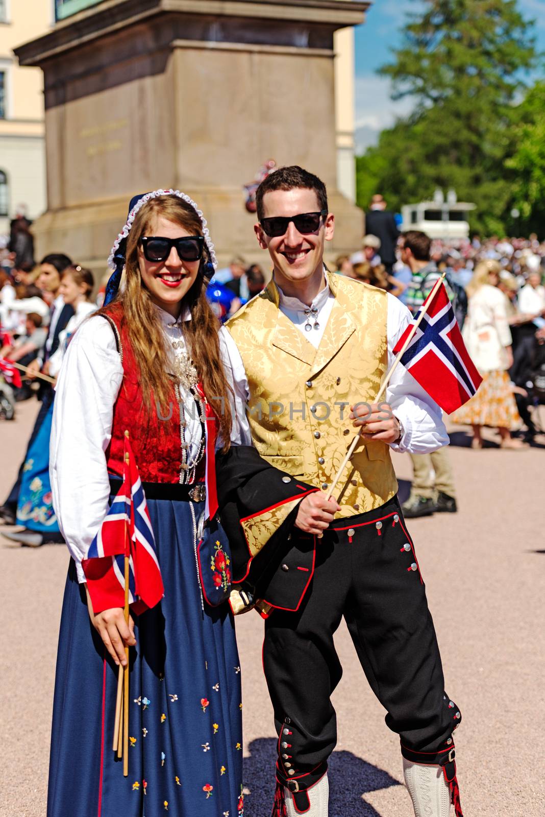 Norwegian Constitution Day by Nanisimova