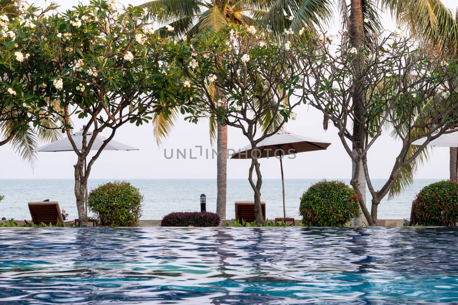 Coconut tree and chair around outdoor swimming pool in hotel resort neary sea and beach - Boost up color Processing style.