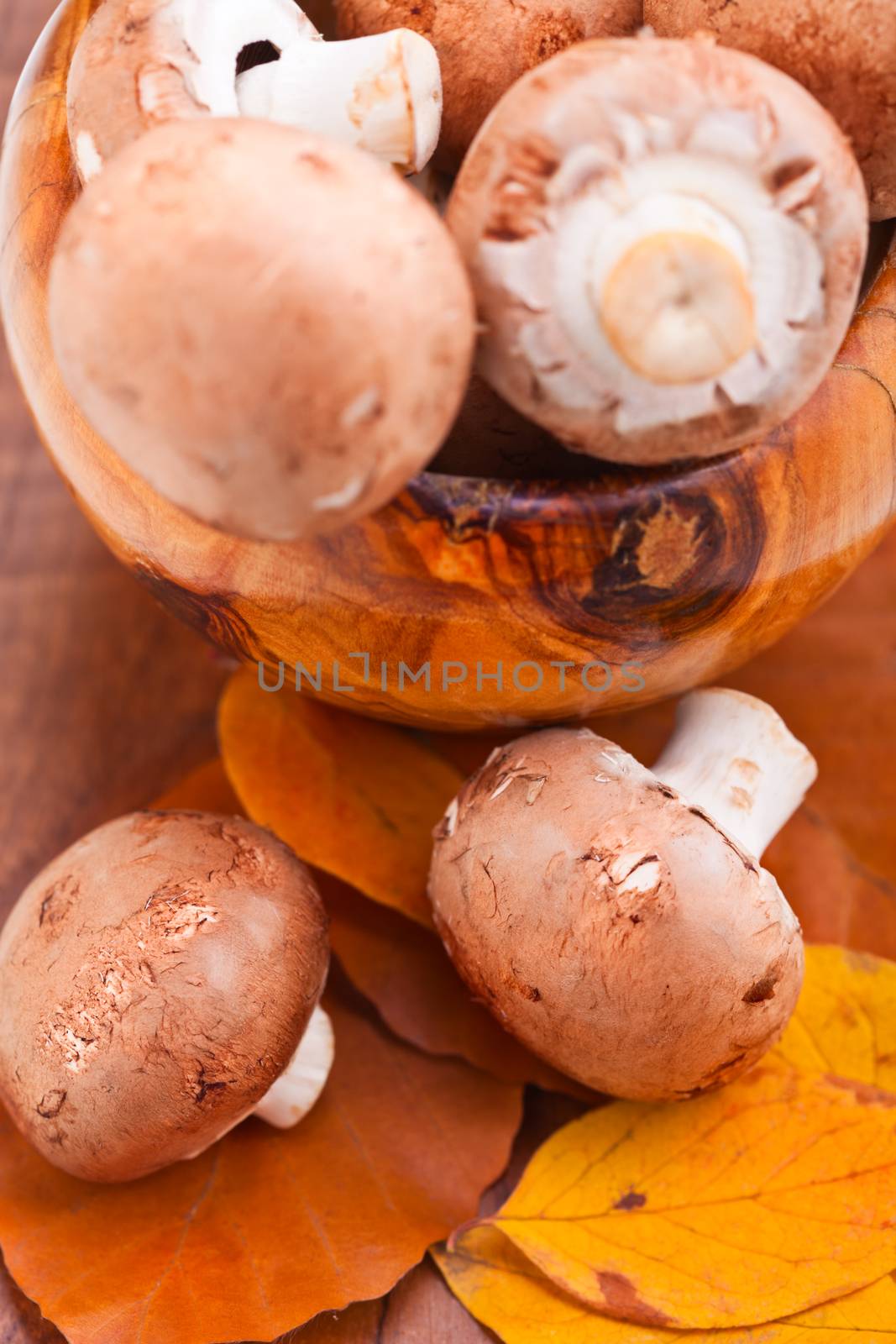 Champignons mushrooms on autumn leaves on a table