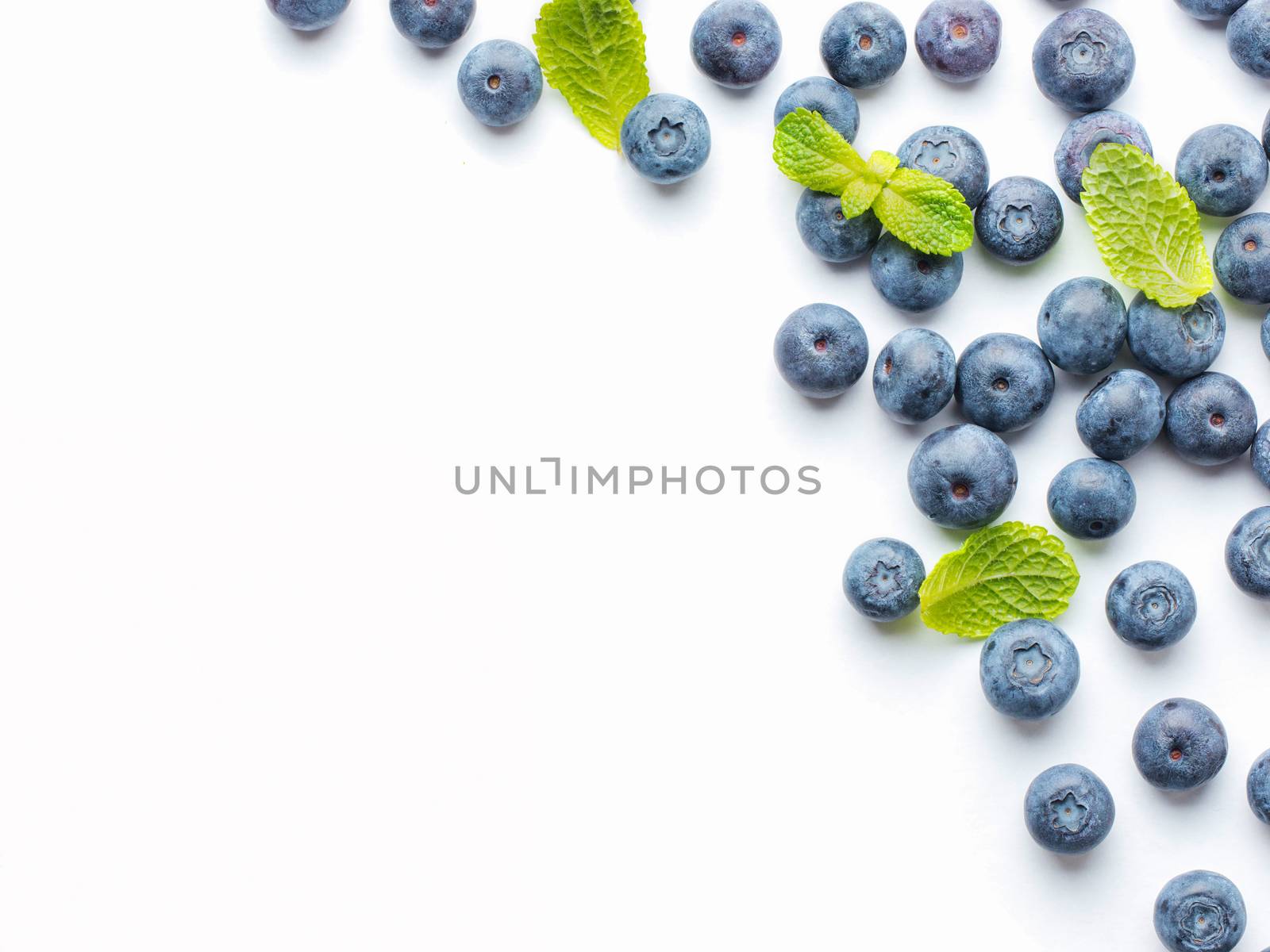 Blueberries isolated on white background. Blueberry border design. Ripe and juicy fresh picked bilberries close up. Copyspace. Top view or flat lay