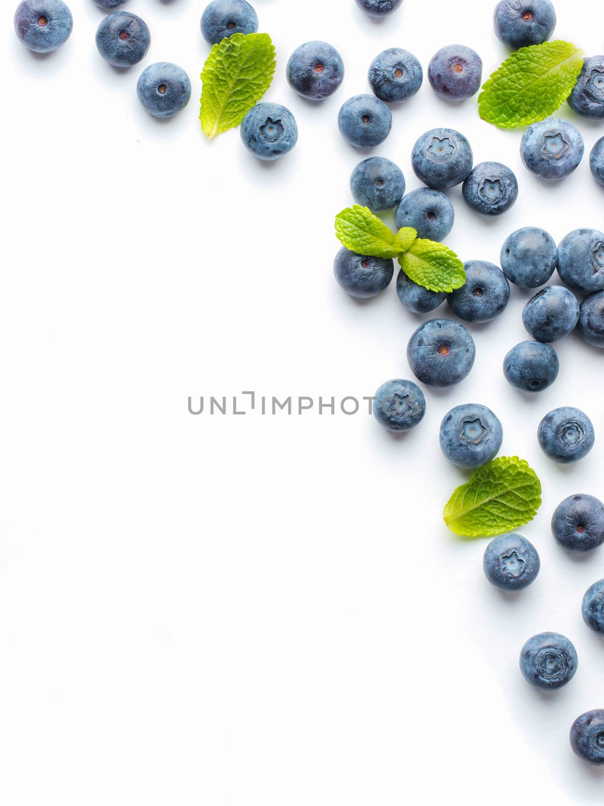Blueberries isolated on white background by fascinadora
