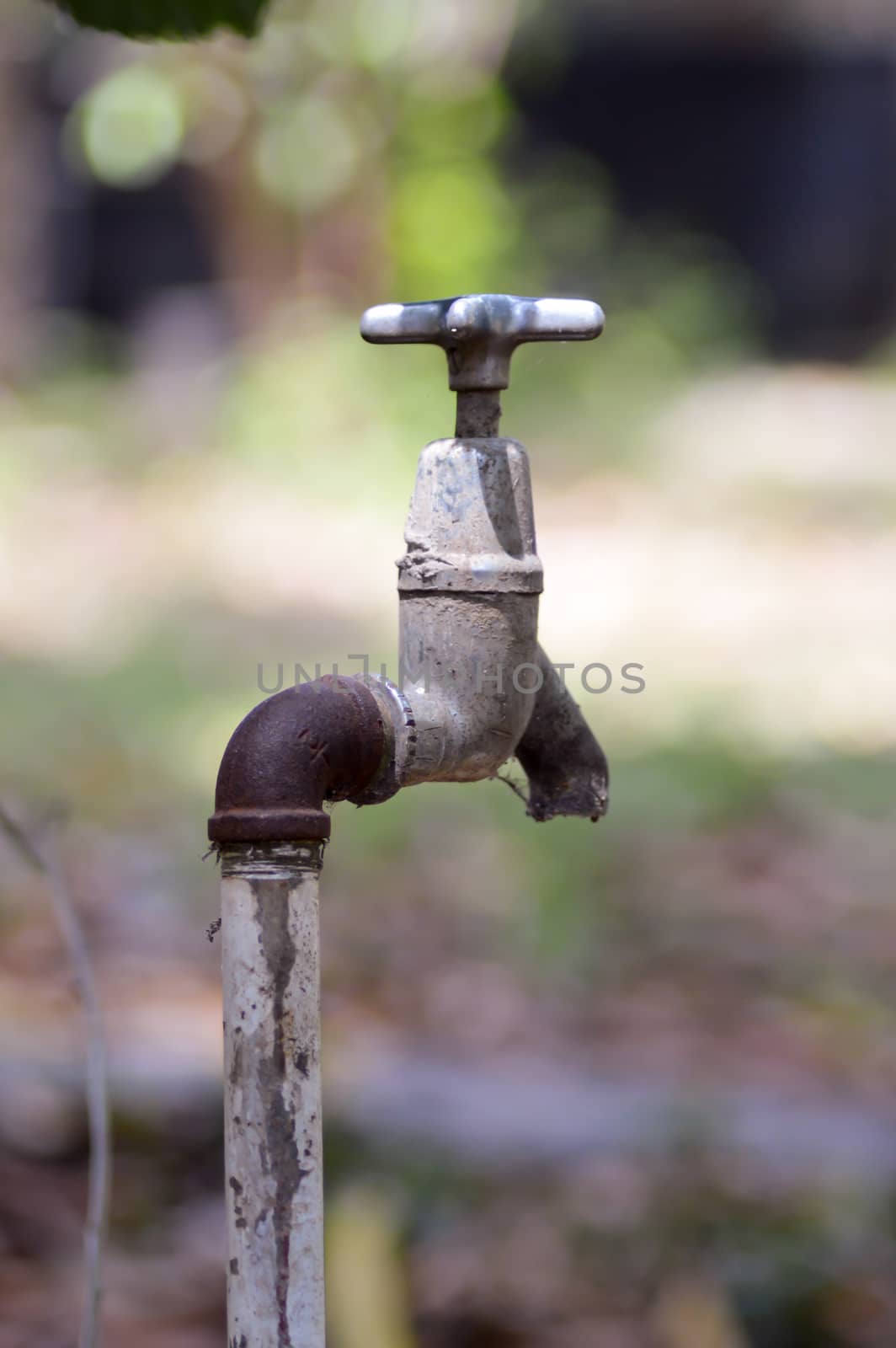 Water supply tap in the garden  by Philou1000