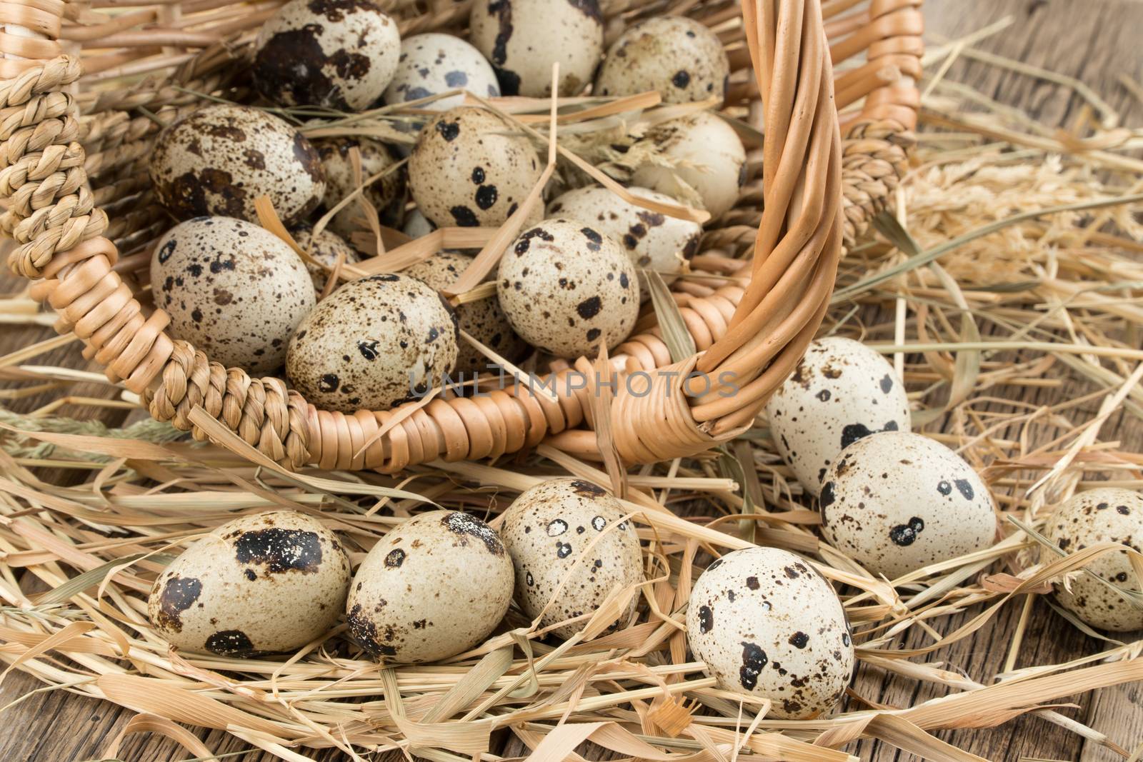 Quail eggs in a basket on old wooden table. by DGolbay