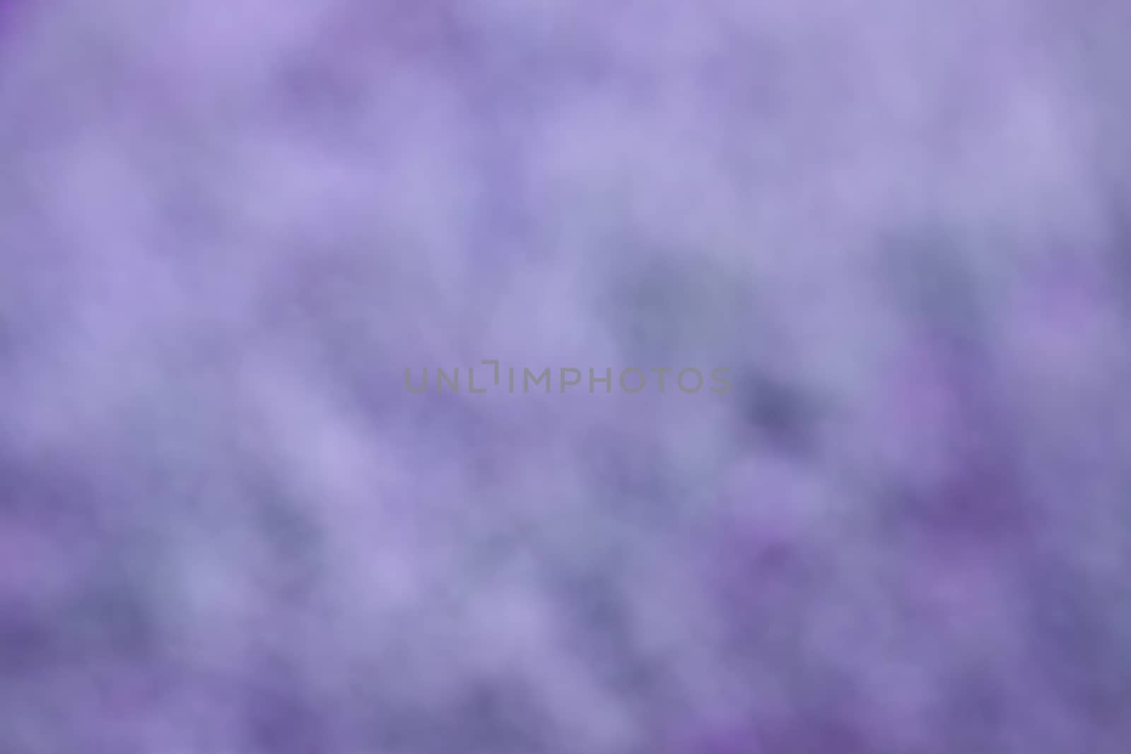 Abstract purple background or gold Christmas background with bright center spotlight, vintage grunge background texture