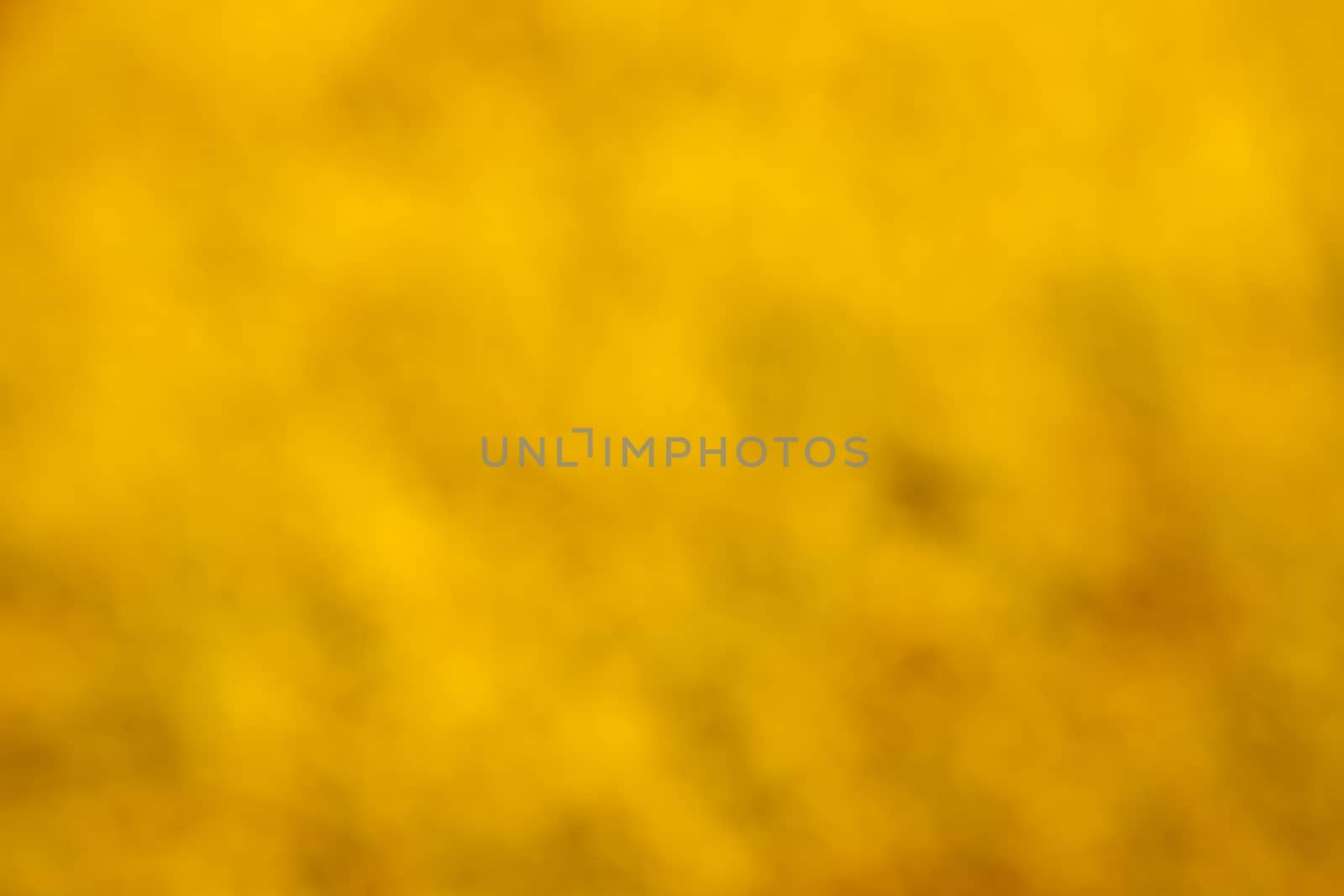 Abstract yellow background or gold Christmas background with bright center spotlight, vintage grunge background texture