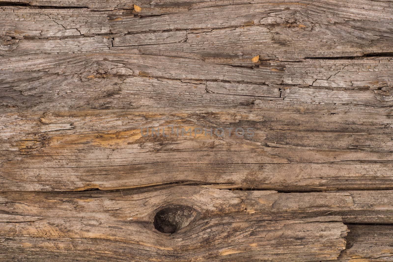 old wood background.  by DGolbay