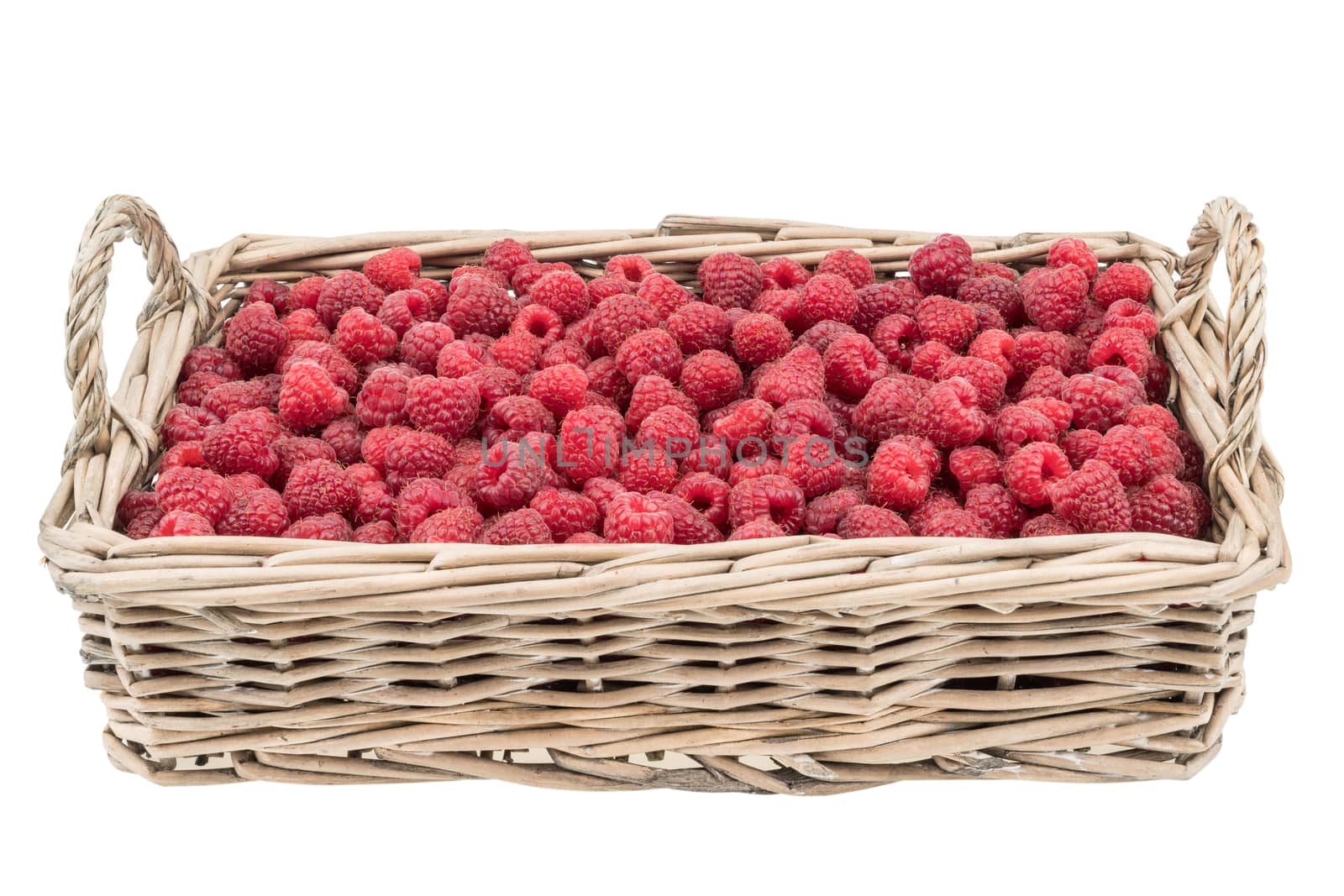 Raspberries in the basket isolated on white background. 