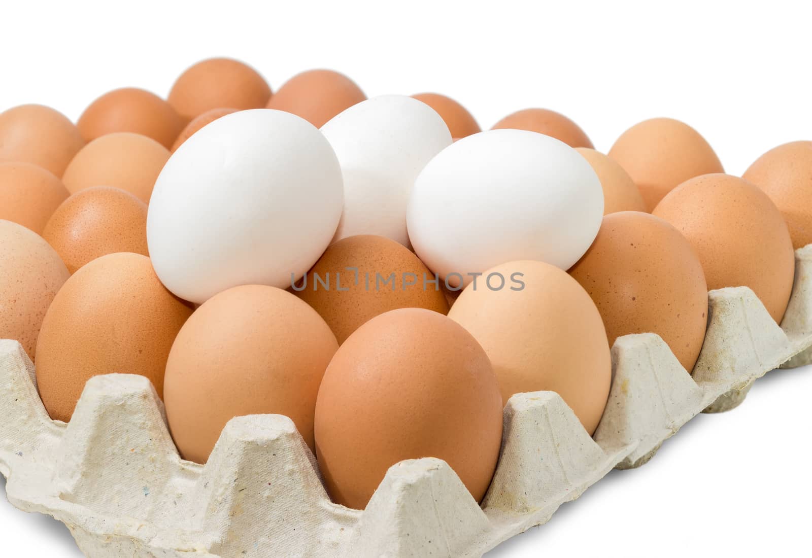 Brown and white eggs in the cardboard egg tray closeup by anmbph