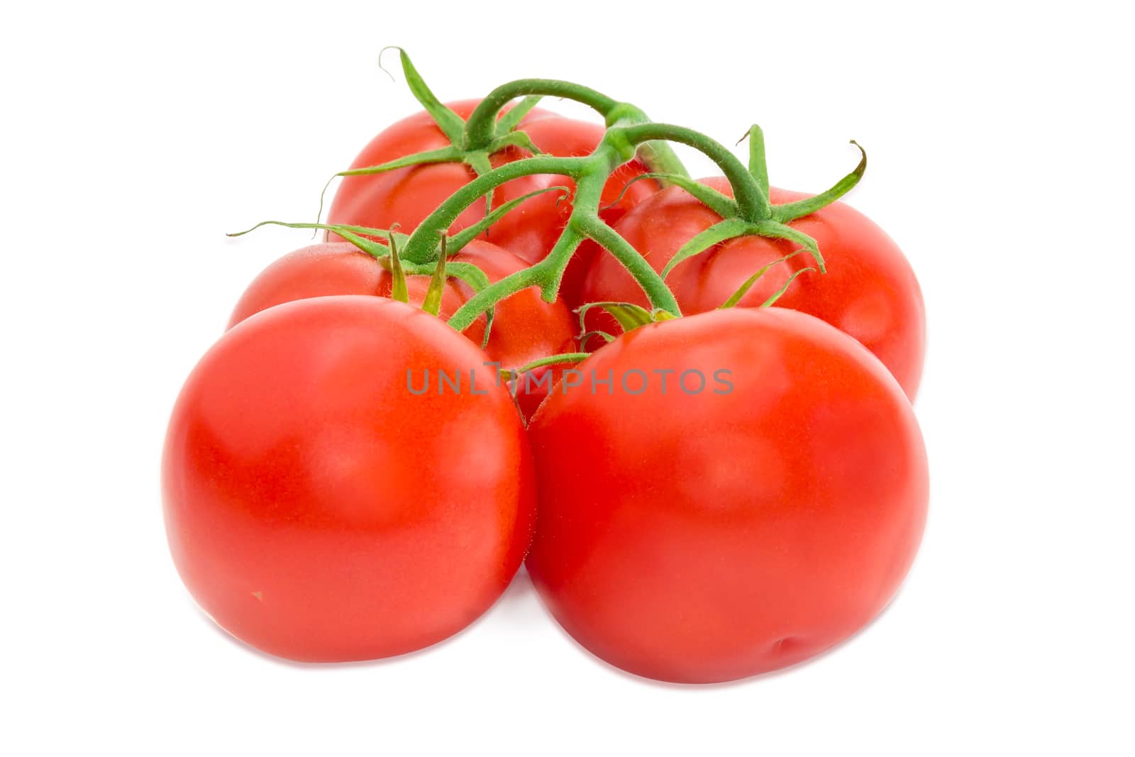 Branch with the several ripe red tomatoes closeup on a light background
