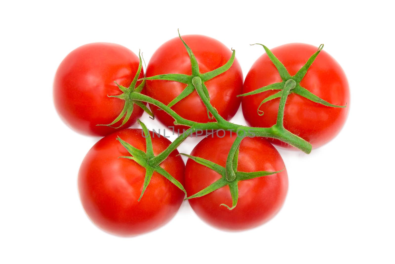 Branch with the several ripe red tomatoes closeup on a light background
