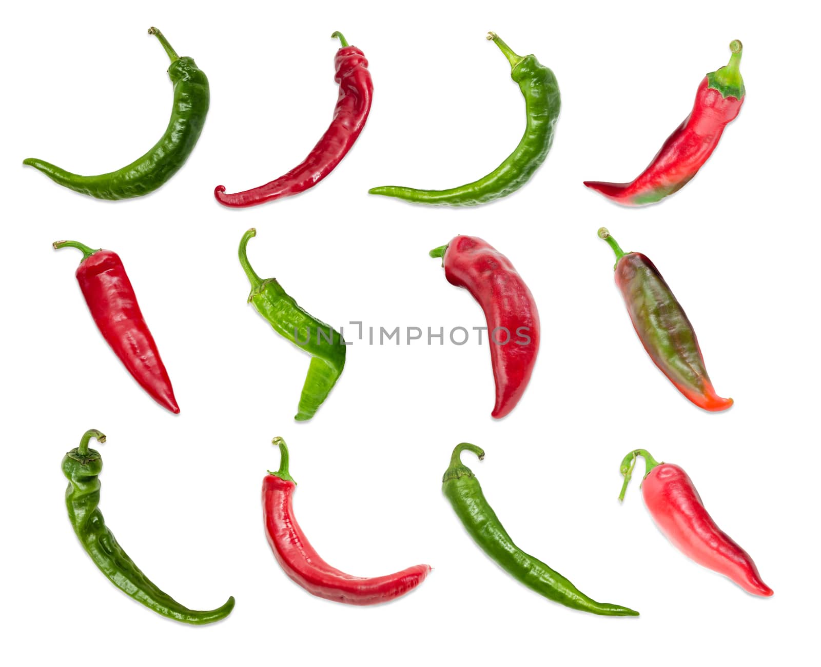 Top view of the several red and green peppers chili with a various shapes of pods are laid out in three rows on a light background
