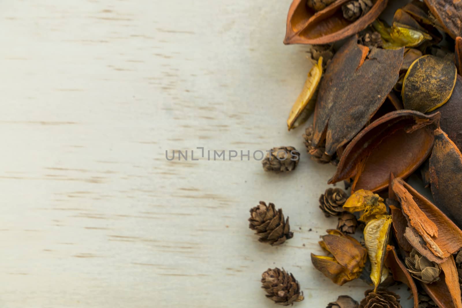 Wooden background with aroma flower, place for text