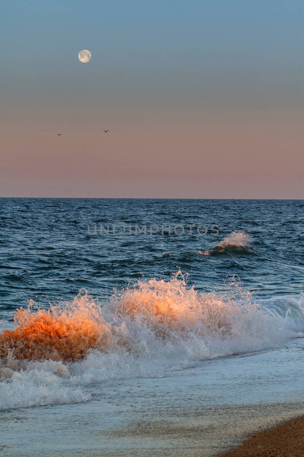 Morning landscape. The waves illuminated by the morning sun on the background of the setting moon