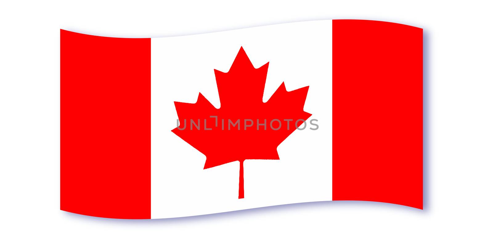 The canadian flag waving over a white background