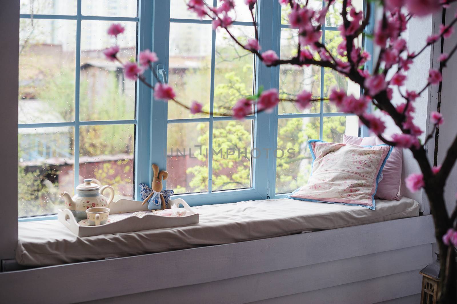 salver with tea and pillows on the window sill and a branch of apple blossoms in the foreground
