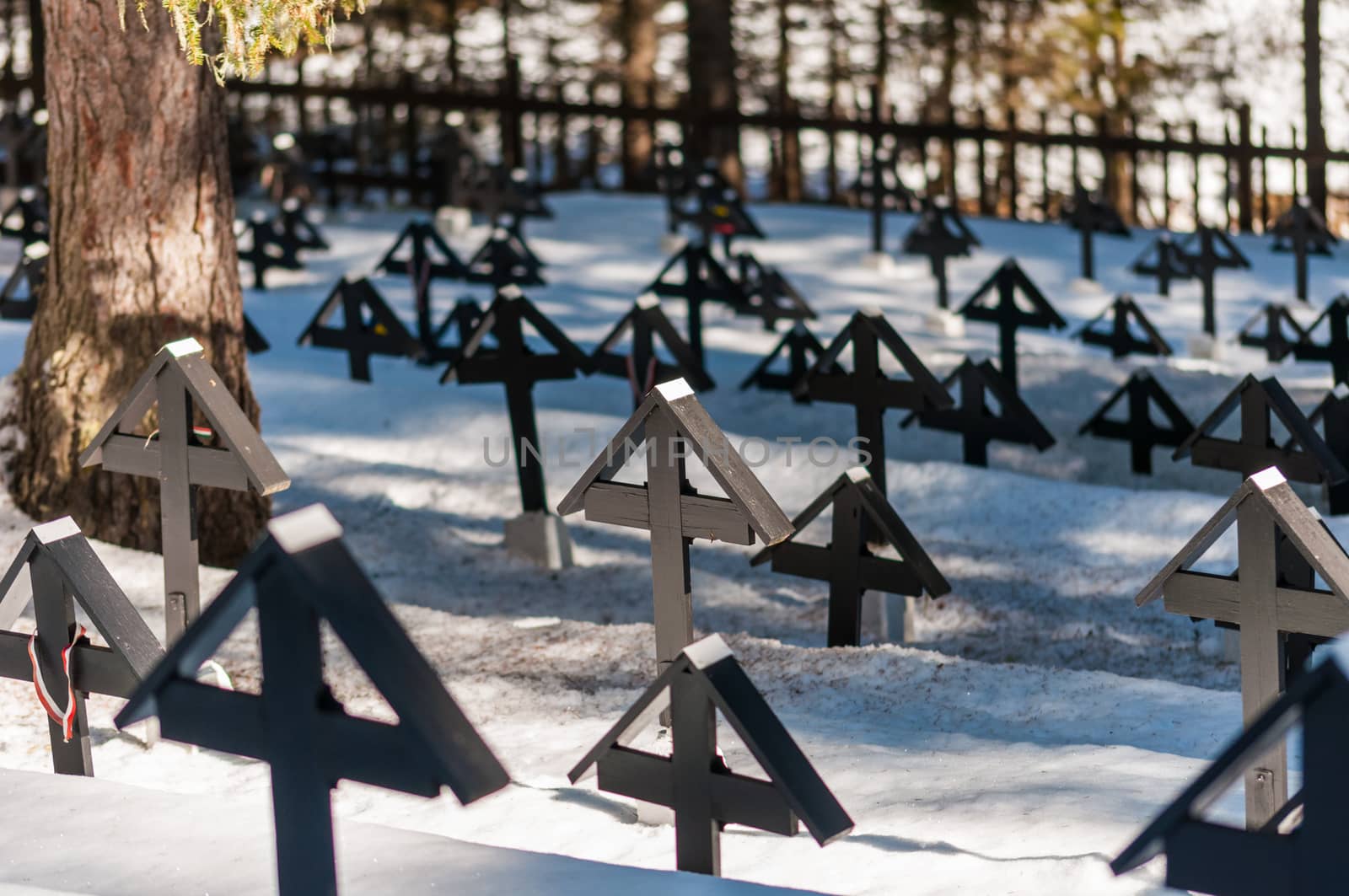 Crosses in a military cemetery of the first World War in Italy. Winter season, snow on the ground