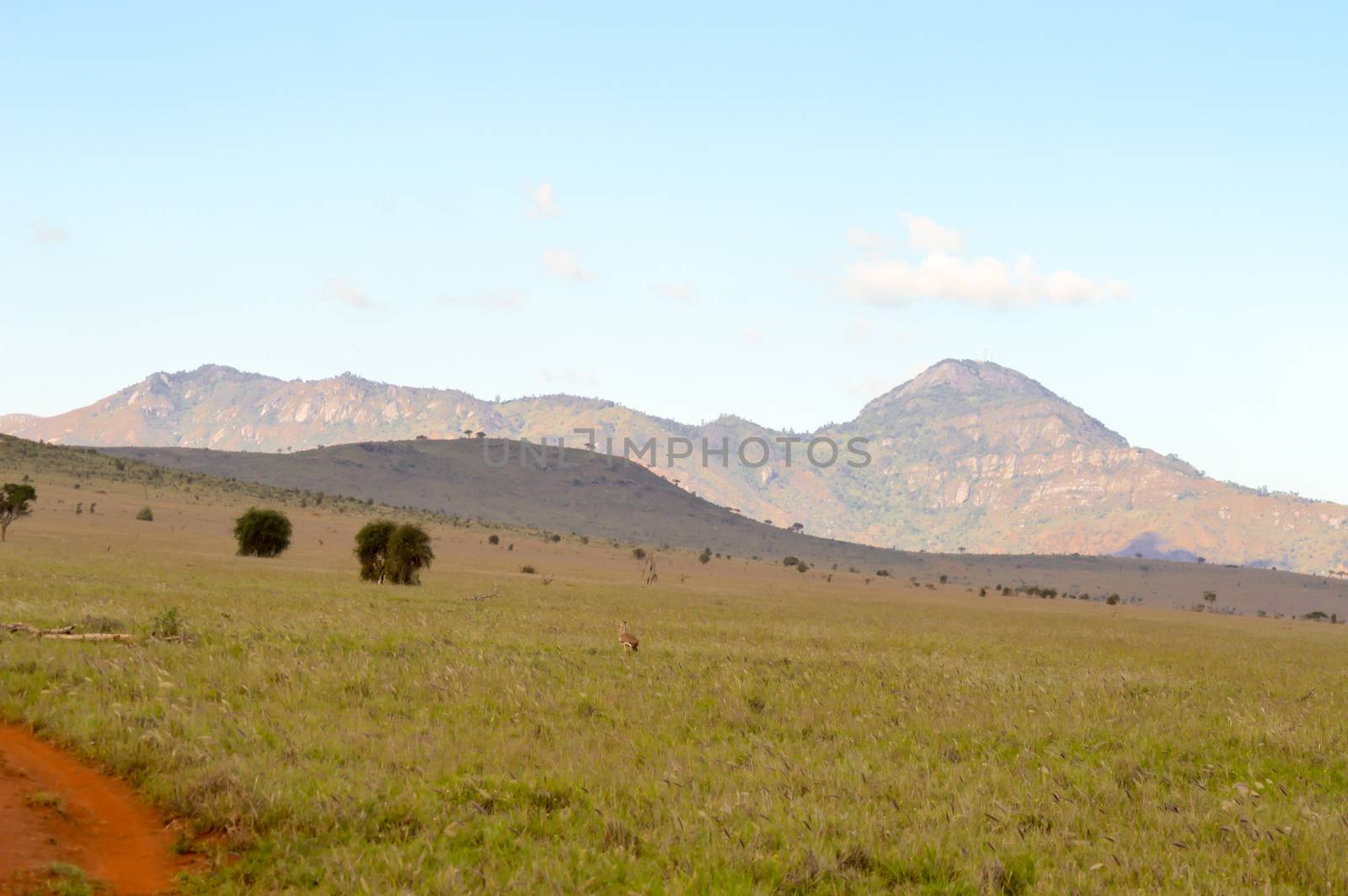 View of the Tsavo East savannah in Kenya with the mountains in the background