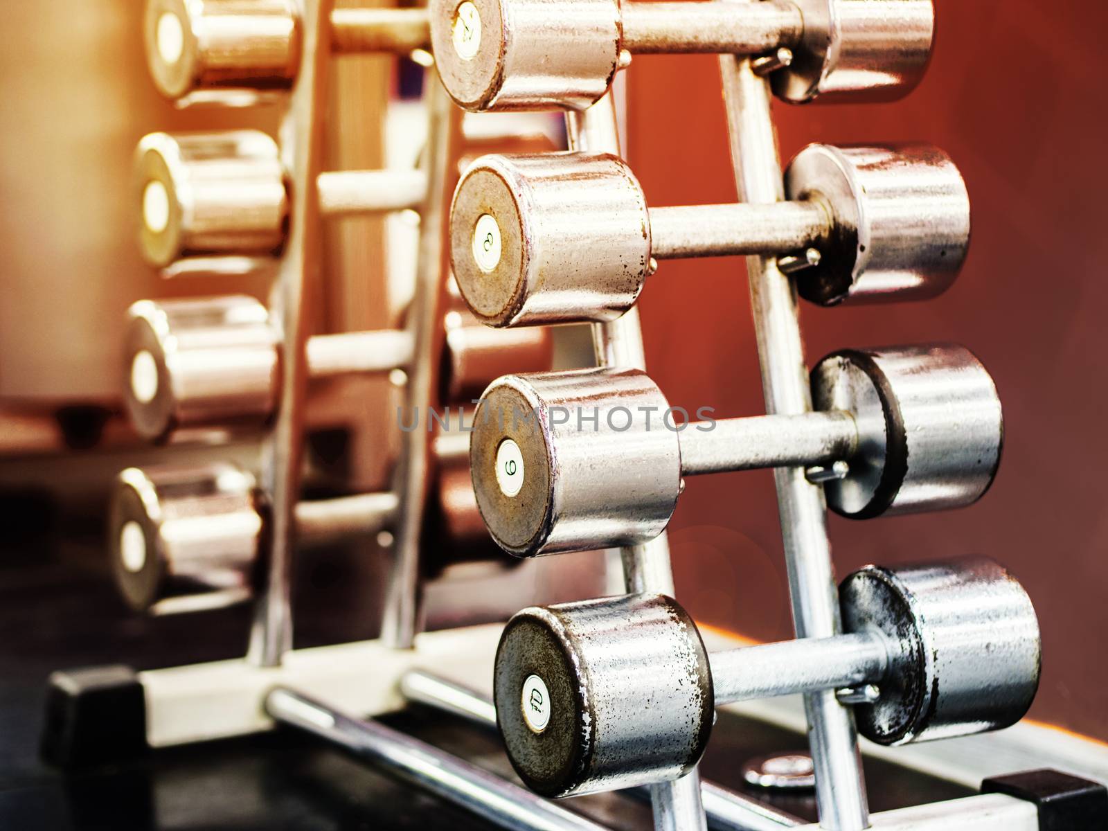 Stand with dumbbells in gym by fascinadora