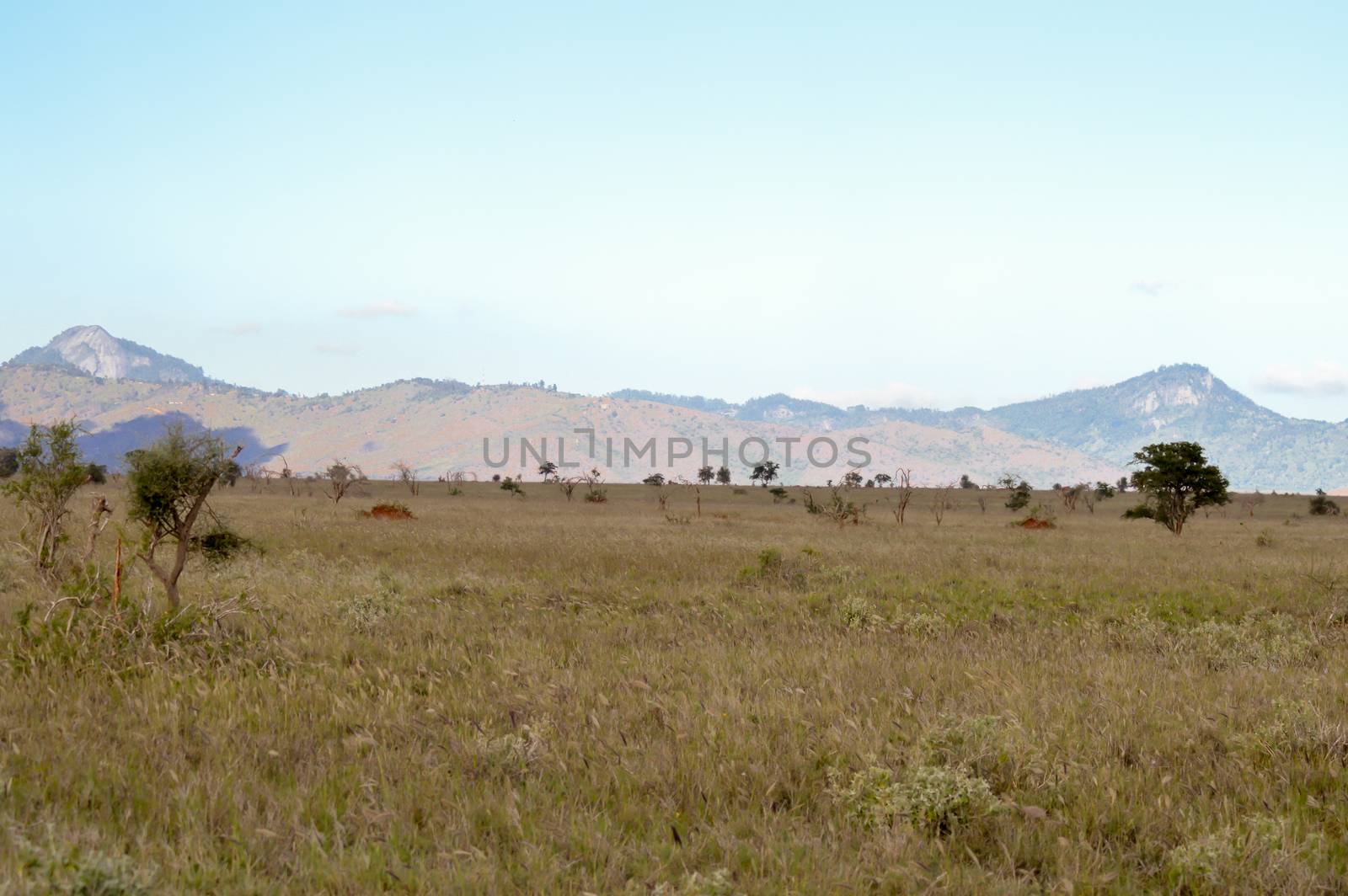 View of the Tsavo East savannah in Kenya with the mountains in the background