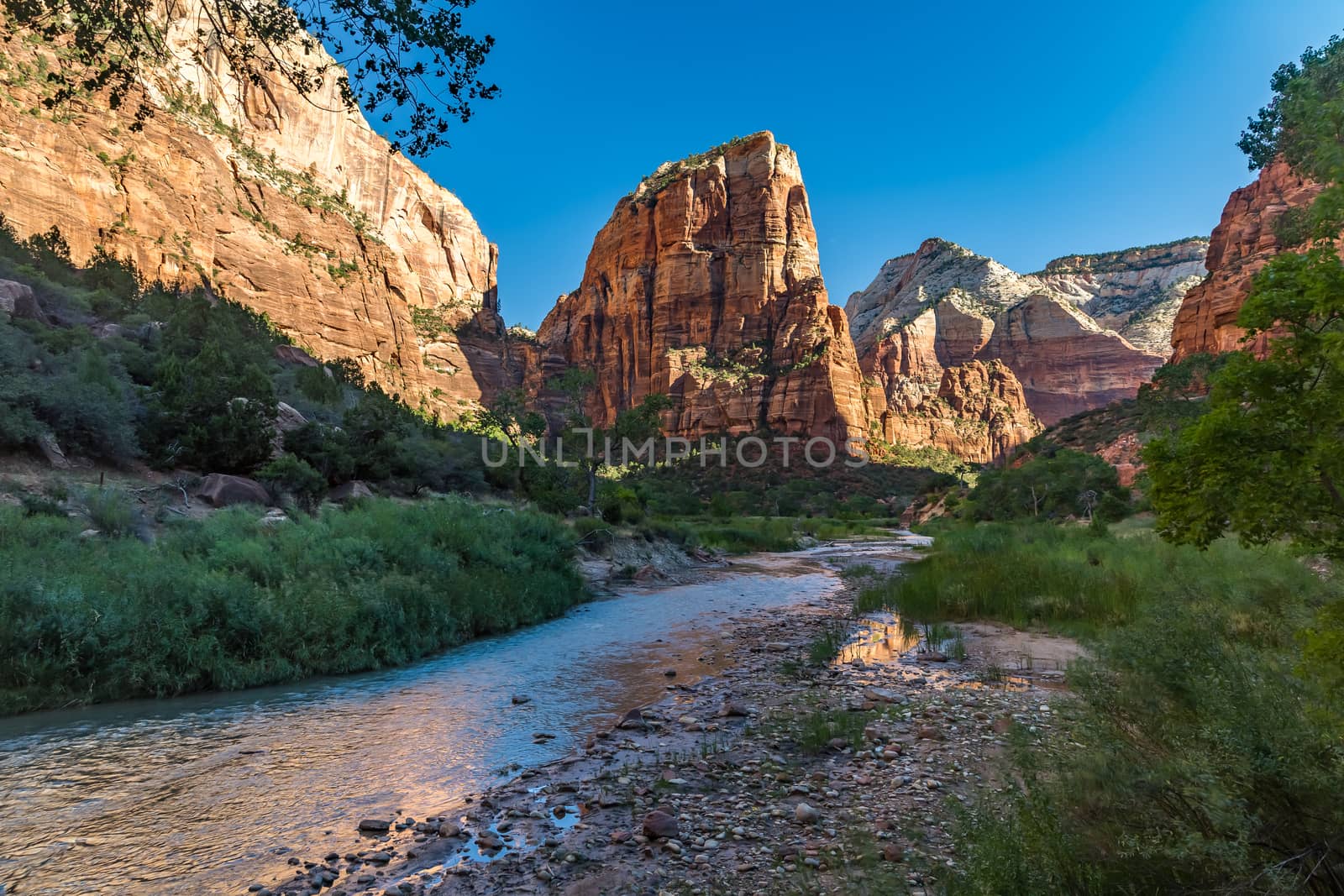 The Virgin River winds through the floor of Refrigerator Canyon at Zion National Park in Utah