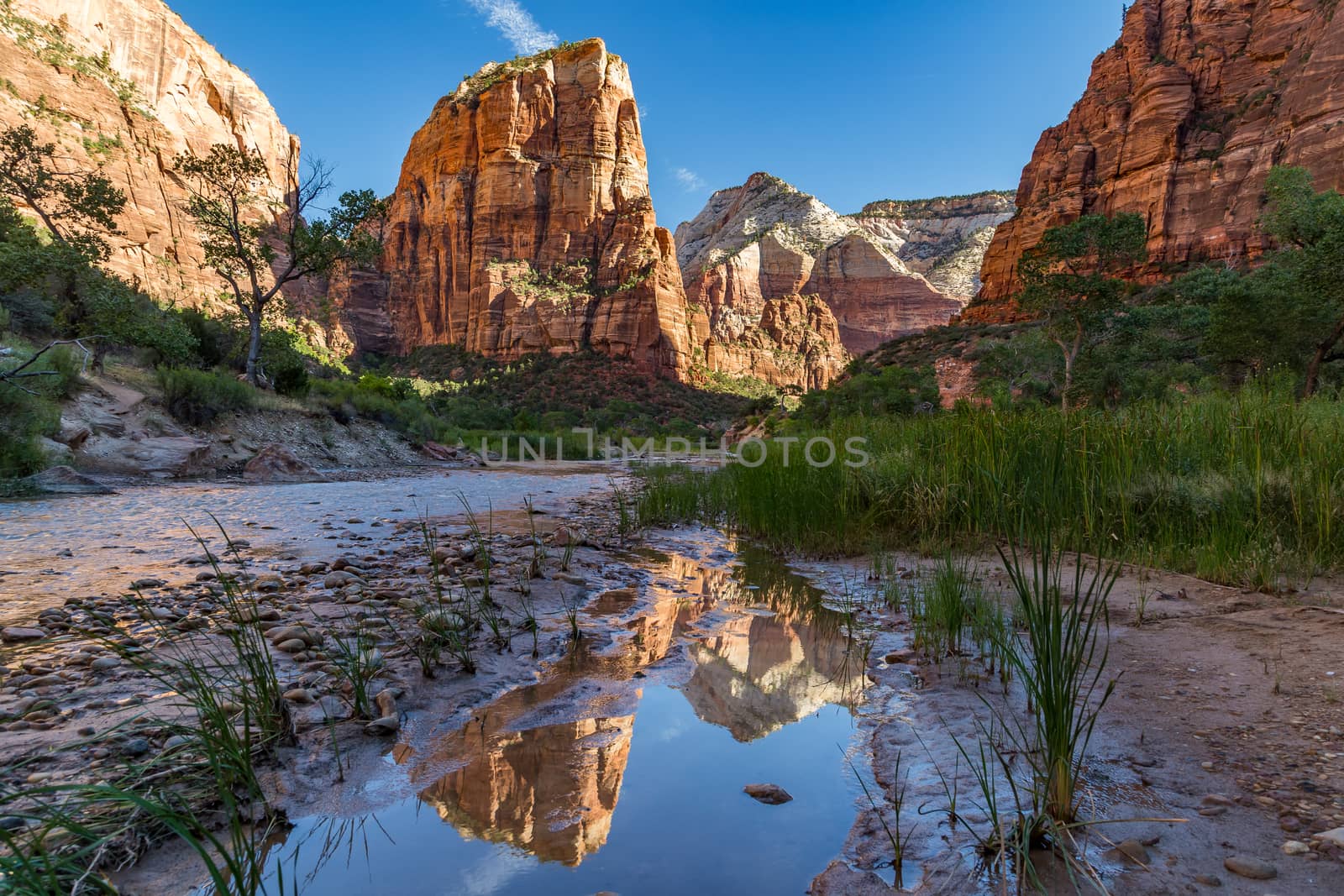 The Virgin River winds through the floor of Refrigerator Canyon at Zion National Park in Utah