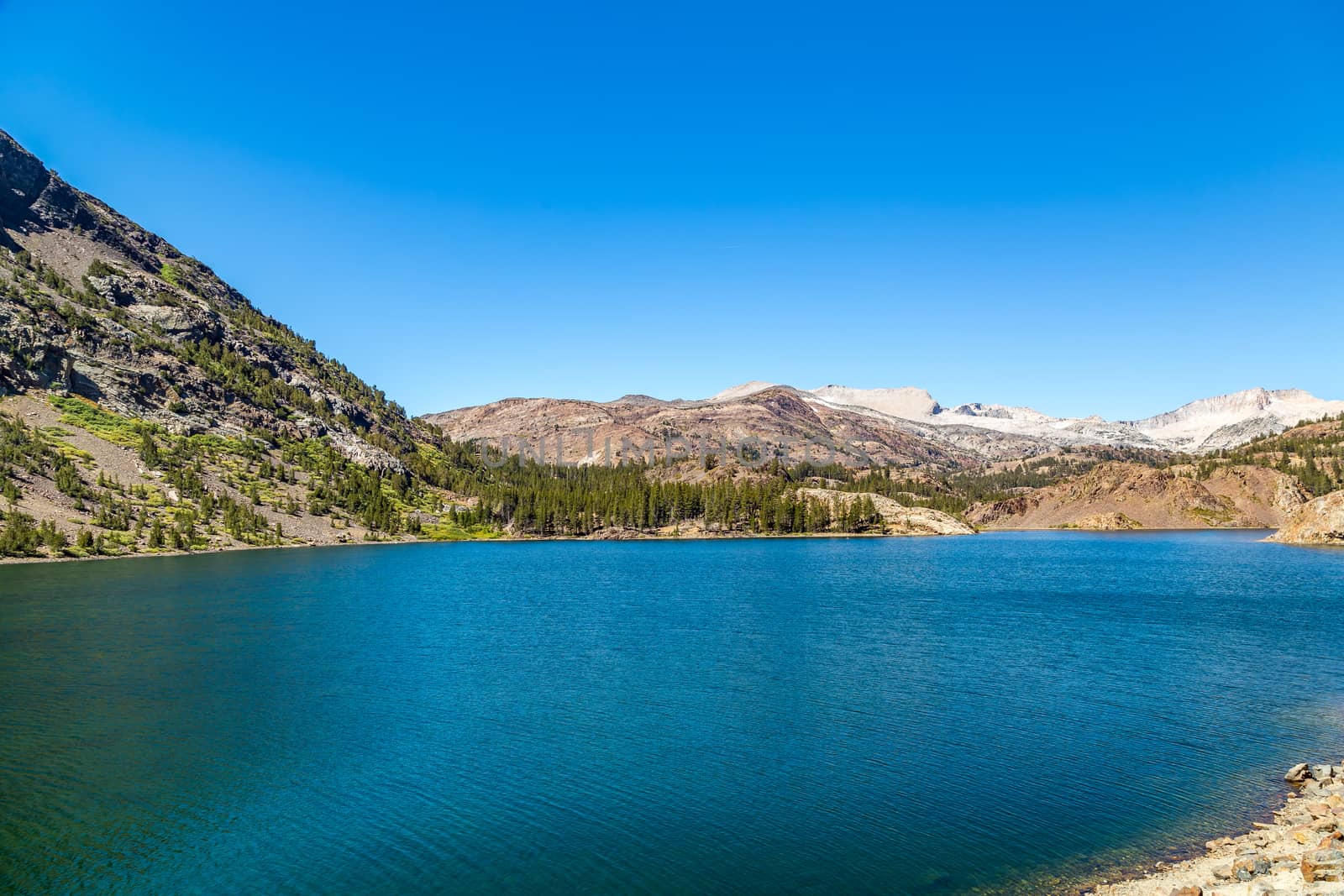 View from the South end of Ellery Lake along the Tioga Road outside Yosemite National Park in the Sierra Nevada mountain range.