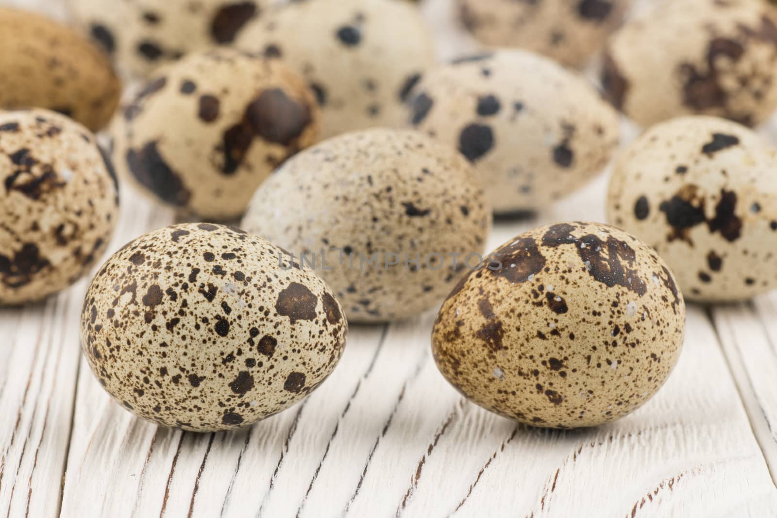 Quail eggs on old white wooden table. by DGolbay