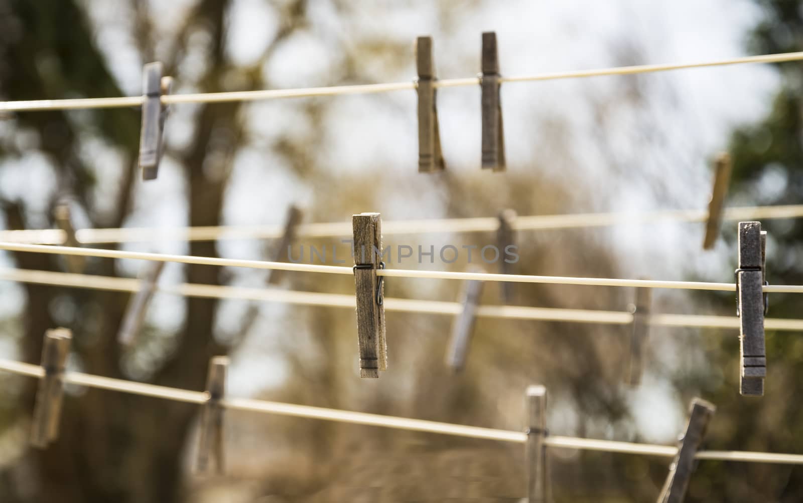 Clothespin hunged on ropes with nature background green.