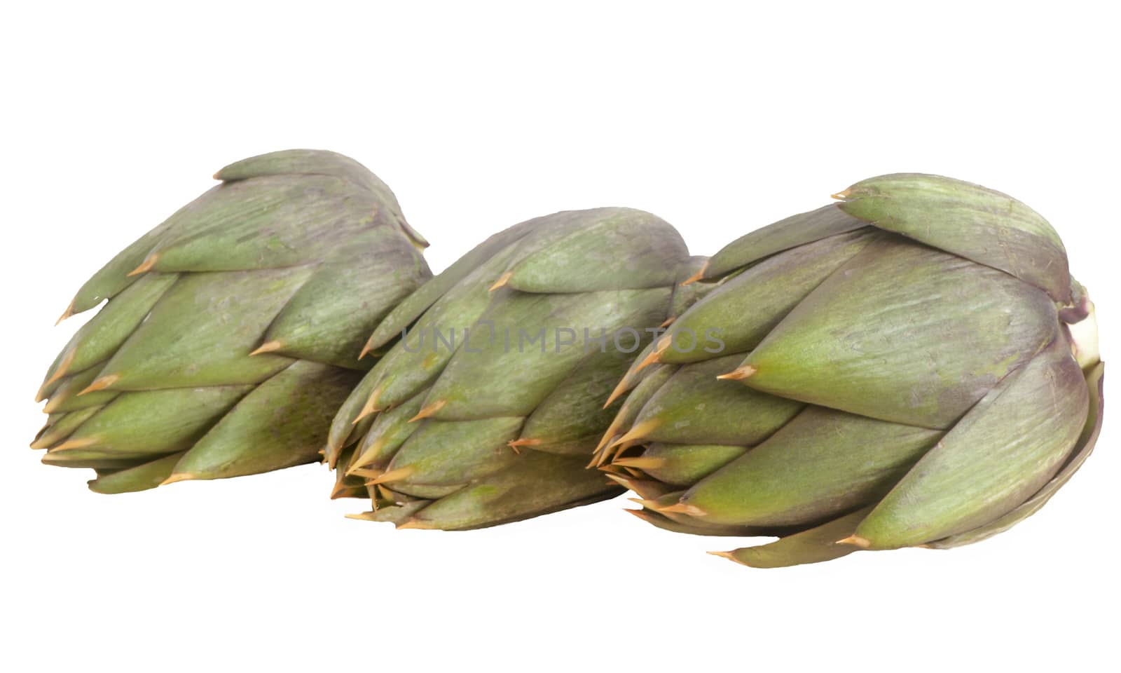 Italian raw artichokes on a white background