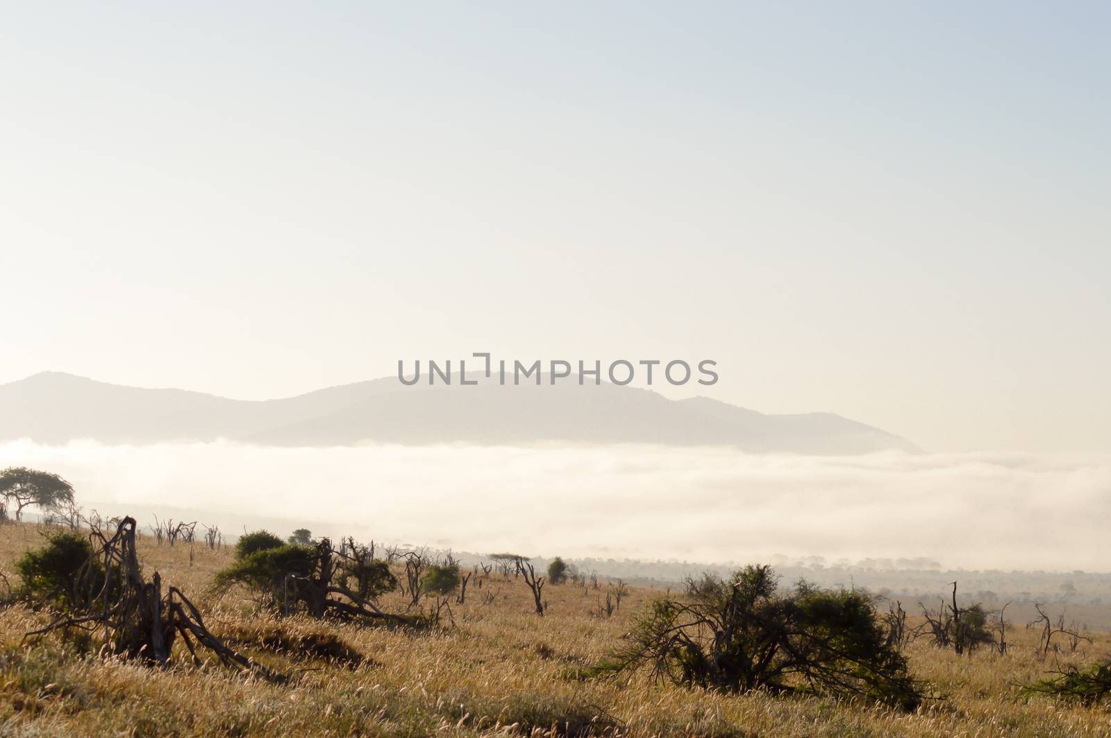 Rise of mist on the savanna and mountains of Tsavo West Park in Kenya