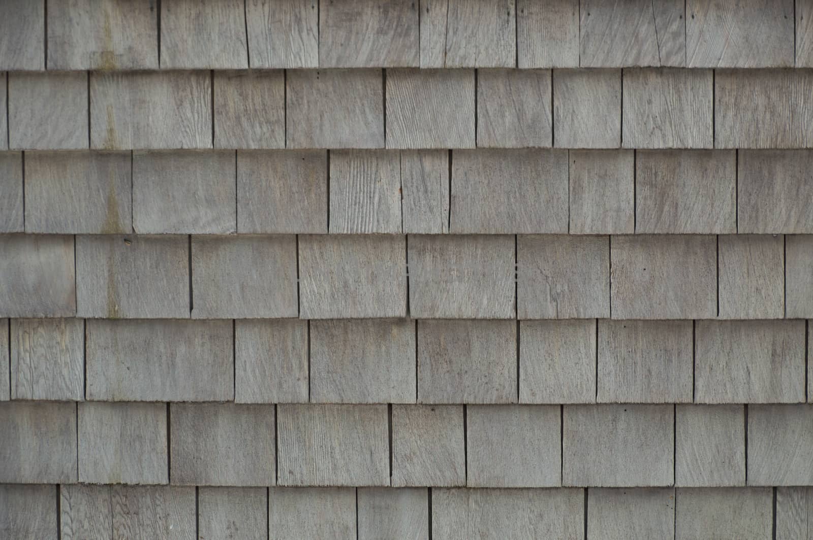 Neat. tidy. newer grey cedar shakes shingles background