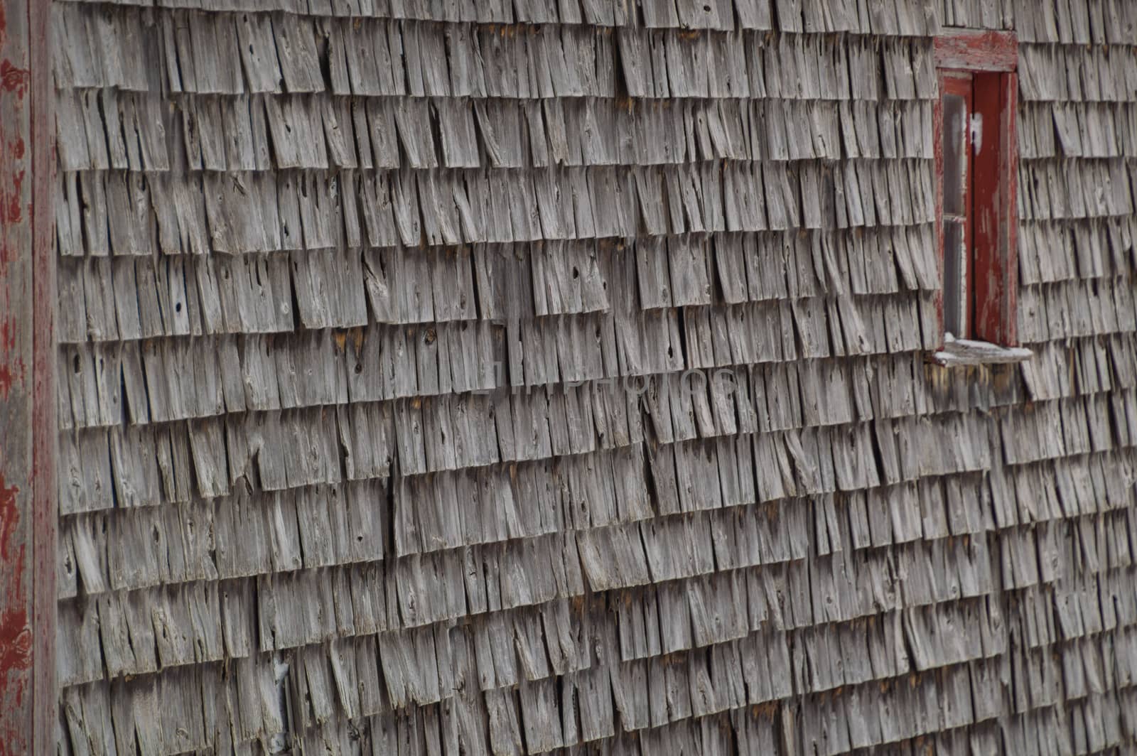 Old weathered cedar shakes shingles barn with red window winter