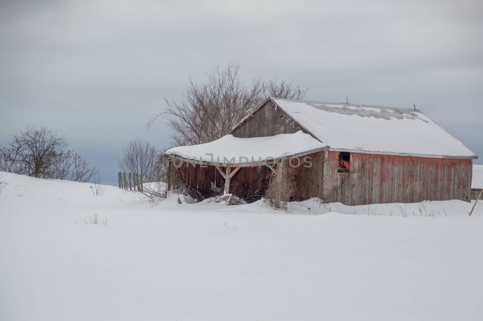 Snowy old  barn on a grey day. Barnboards are faded red, old and weathered. Shows some trees and snow, with copy space.